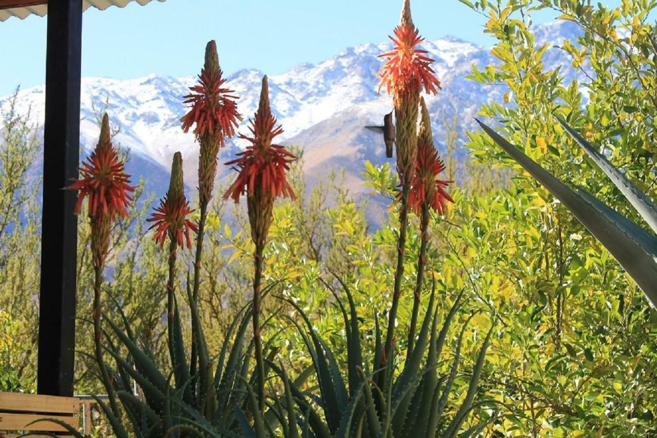 Uma Hotel Pisco Elqui Zewnętrze zdjęcie